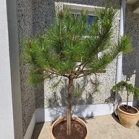 The بيت للعطل إينيسكورثي